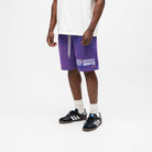 ALMOST SOMEDAY Soho Terry Shorts in Purple, detail view